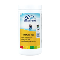 Chlore lent stabilisé blocs 90/500 g