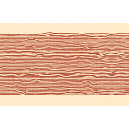 document-visuel