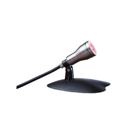 Smart Light