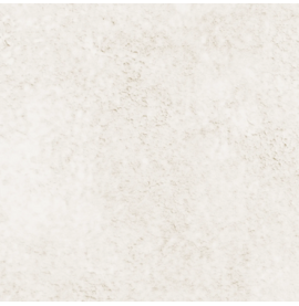 Gamme NGS Unicolor Blanc 1.6 x 25 m