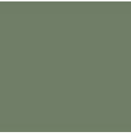 Aquacolor PF3000 Vert argile
