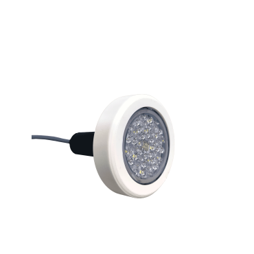 Ampoule LED AMWLRGBW48
