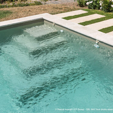 Liner Standard - Vert Argile