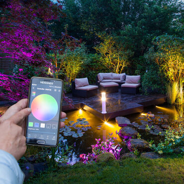 Système d'éclairage - 2