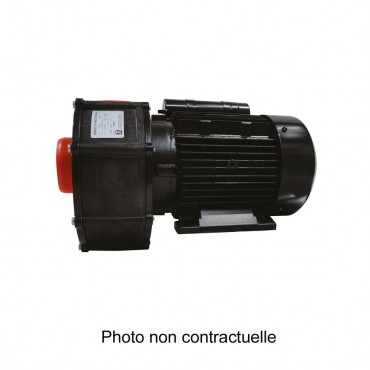 Pompe de nage à contre-courant Speck Badu 21-80 tri Speck Pumpen