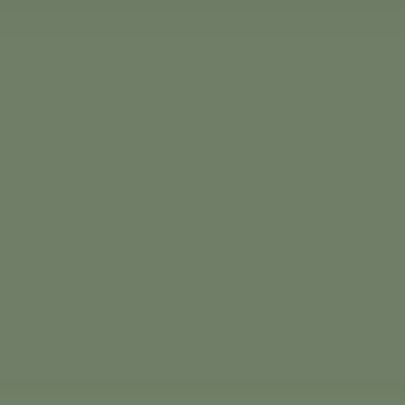 Aquacolor PF3000 Vert argile